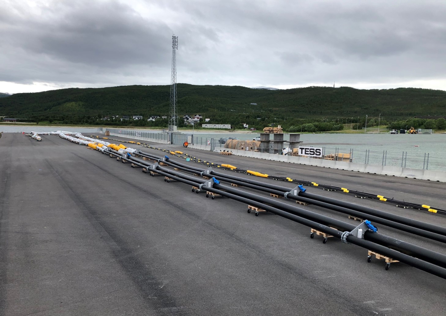 Tess klar for slep.jpg